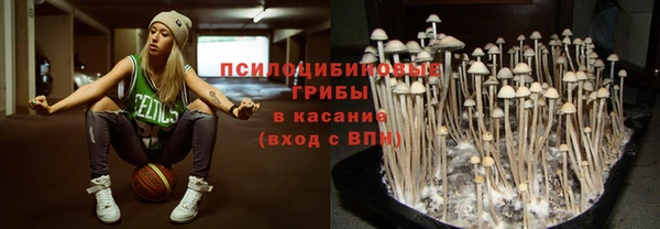 дурь Алексеевка