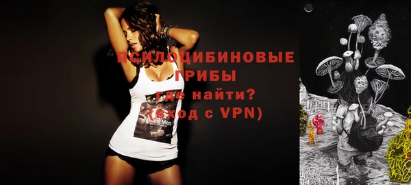 молекула духа Абинск