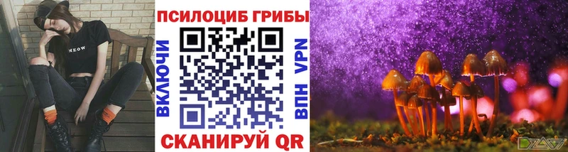 Галлюциногенные грибы Cubensis  купить закладку  Пудож 